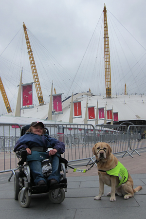 Virgin Trains Disabled People Dogs Virgin Trains Disabled People Dogs